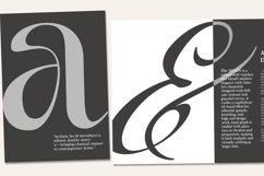 The MOON Modern &amp; Classic Serif Product Image 9