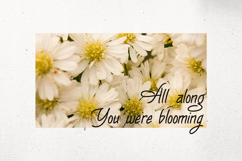 The Mossmof Monoline Script Font Product Image 3