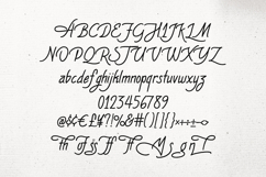 The Mossmof Monoline Script Font Product Image 5