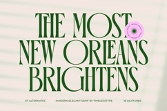 Orleans Brightens - Modern Elegant Serif Product Image 1