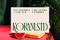 Orleans Brightens - Modern Elegant Serif Product Image 2