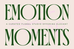 Orleans Brightens - Modern Elegant Serif Product Image 3