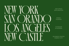 Orleans Brightens - Modern Elegant Serif Product Image 6