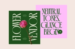 Orleans Brightens - Modern Elegant Serif Product Image 7