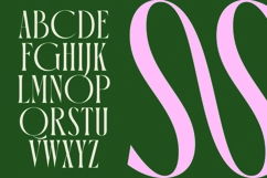 Orleans Brightens - Modern Elegant Serif Product Image 10