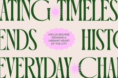 Orleans Brightens - Modern Elegant Serif Product Image 11