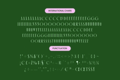 Orleans Brightens - Modern Elegant Serif Product Image 14