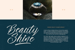 The Newyork - Bold Handwritten Font Product Image 4