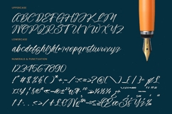 The Newyork - Bold Handwritten Font Product Image 18