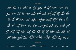 The Newyork - Bold Handwritten Font Product Image 19