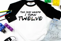 The One Where I Turn Twelve SVG - Friends 12th Birthday PNG Product Image 4