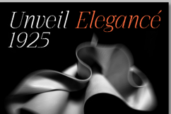 The Pixel Editorial Modern Serif Font Product Image 2