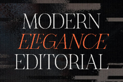The Pixel Editorial Modern Serif Font Product Image 3