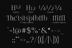 The Pixel Editorial Modern Serif Font Product Image 10