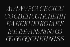 The Pixel Editorial Modern Serif Font Product Image 13