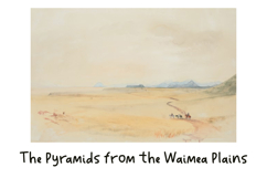 Farmer Marketica | Hand Drawn Display Font for Branding Product Image 7