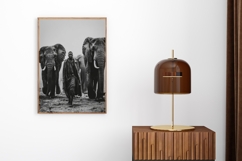 The Soul of Africa Wall Art Set of 100