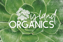 The Travelers Sans Family Product Image 5