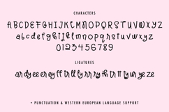 The Weirdo Parade Display Font Product Image 10