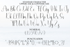 The Winter Product Image 7