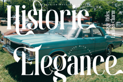 Theforest - Modern Serif Font Product Image 2