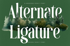 Theforest - Modern Serif Font Product Image 8