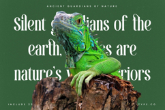 Theforest - Modern Serif Font Product Image 13