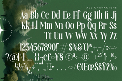 Theforest - Modern Serif Font Product Image 18
