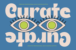 Theleo Blues - Bold Sans Display Font Product Image 7