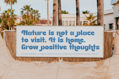 Theleo Blues - Bold Sans Display Font Product Image 8