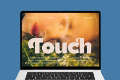 Theleo Blues - Bold Sans Display Font Product Image 11