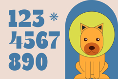 Theleo Blues - Bold Sans Display Font Product Image 14