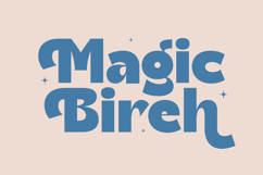 Theleo Blues - Bold Sans Display Font Product Image 16