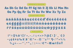 Theleo Blues - Bold Sans Display Font Product Image 19