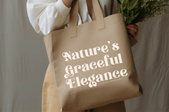 Thelost Magica - Modern Alternate Serif Product Image 13