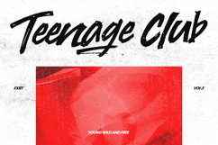 Themile Stuney Bold Expressive Brush Font Product Image 2