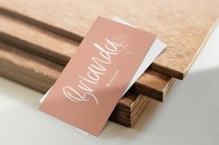Web Font Therapist - Beauty Handwritten Font Product Image 2