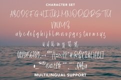 Web Font Therapist - Beauty Handwritten Font Product Image 4