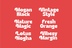 Thered Burger - Display Sans Serif Product Image 13