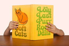 Theza Rolan - Groovy Playful Display Product Image 8