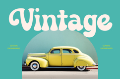 Theza Rolan - Groovy Playful Display Product Image 11