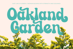 Theza Rolan - Groovy Playful Display Product Image 14