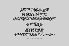 Thiger Feron Bold Expressive Brush Font Product Image 5