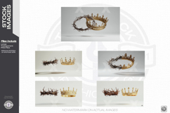 Crown of Thorns with Gold Crown Product Image 1