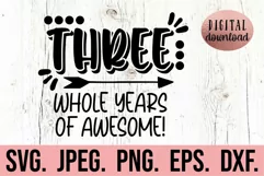 3rd Birthday Boy Shirt SVG - Third Whole Years Of Awesome Product Image 1