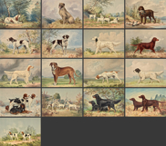 Celebrated Dogs of America Restored Images Bundle Product Image 2