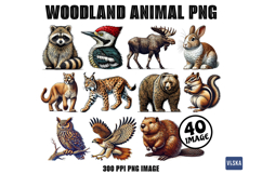 Woodland Animal PNG Clipart Bundle Product Image 1