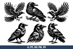 Crows Vector SVG Bundle Product Image 1