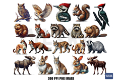 Woodland Animal PNG Clipart Bundle Product Image 2