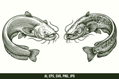 Wels Catfish Vector SVG Bundle Product Image 3